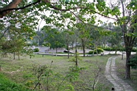 IMG_4826.JPG