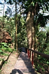 IMG_5047.JPG