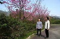 IMG_5095.JPG