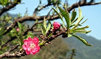 IMG_5105.JPG