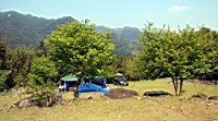 IMG_5111.JPG