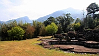 IMG_5115.JPG