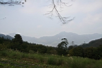 IMG_5133.JPG
