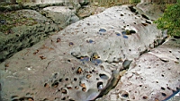 IMG_5135.JPG