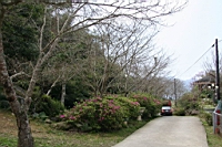 IMG_5144.JPG