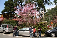 IMG_5147.JPG