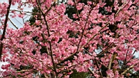 IMG_5148.JPG