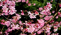 IMG_5154.JPG