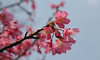 IMG_5165.JPG
