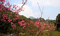 IMG_5166.JPG