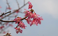 IMG_5167.JPG