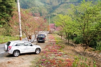 IMG_5169.JPG