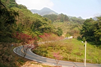 IMG_5171.JPG