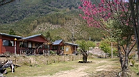 IMG_5243.JPG