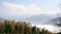 IMG_5294.JPG