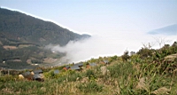 IMG_5299.JPG