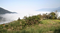 IMG_5306.JPG