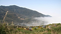 IMG_5307.JPG