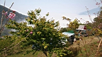IMG_5310.JPG