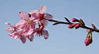 IMG_5314.JPG