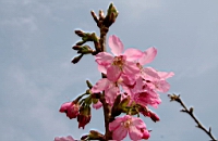 IMG_5361.JPG