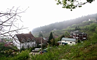 IMG_5362.JPG