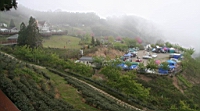 IMG_5378.JPG