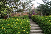 IMG_5411.JPG