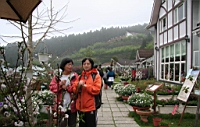 IMG_5419.JPG
