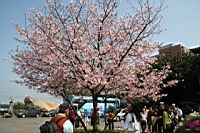 IMG_5421.JPG
