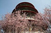 IMG_5430.JPG
