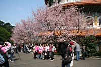 IMG_5432.JPG
