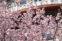 IMG_5440.JPG