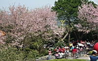 IMG_5461.JPG
