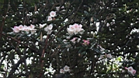 IMG_5514.JPG