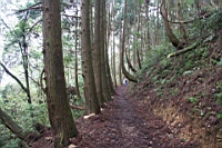 IMG_5521.JPG