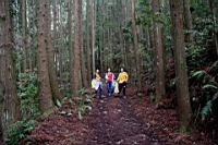 IMG_5523.JPG
