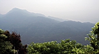 IMG_5541.JPG