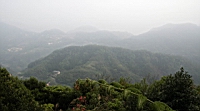 IMG_5542.JPG