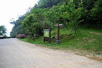 IMG_5546.JPG