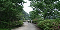 IMG_5547.JPG