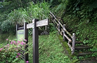 IMG_5549.JPG