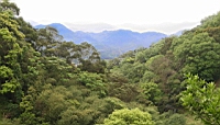 IMG_5659.JPG