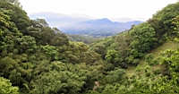 IMG_5660.JPG