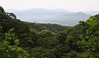 IMG_5661.JPG