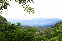 IMG_5662.JPG