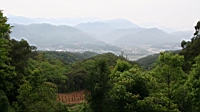 IMG_5668.JPG