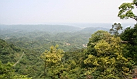 IMG_5736.JPG