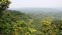 IMG_5737.JPG