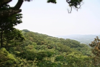 IMG_5738.JPG